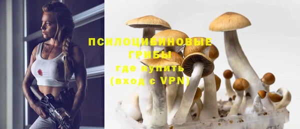 гидра Балахна