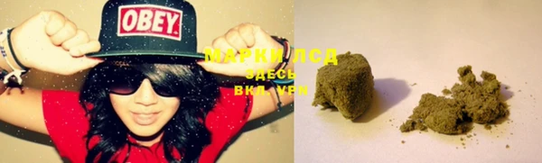 PSILOCYBIN Баксан