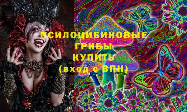 гидра Балахна