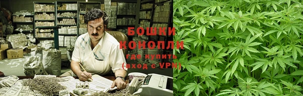 PSILOCYBIN Баксан