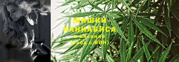 PSILOCYBIN Баксан