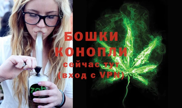 PSILOCYBIN Баксан