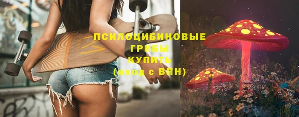 PSILOCYBIN Баксан
